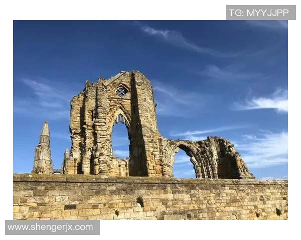 探索索博斯洛伊的历史与文化遗产之旅揭秘古老文明的智慧与魅力