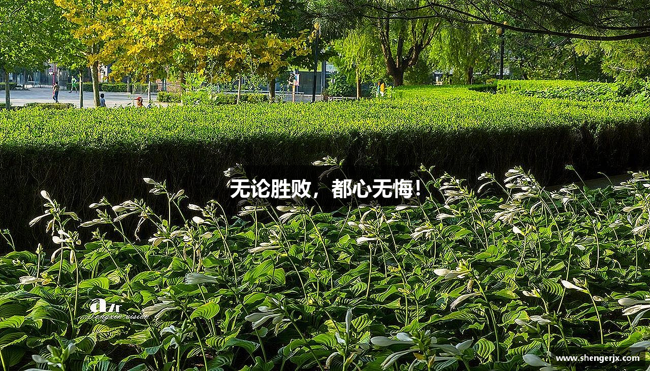 无论胜败，都心无悔！